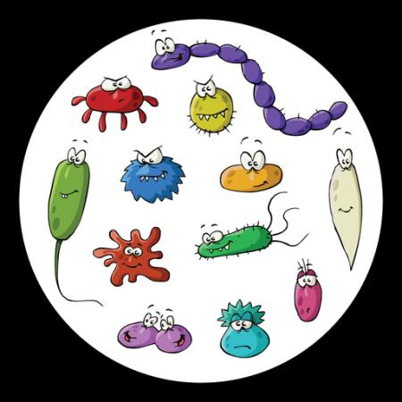 insekti, mikroskop, sluz, virusa Dedmazay - Dreamstime