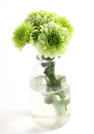 biljka, cvijet, zelena, voda, cijevi, vaza Kerstin Aust - Dreamstime