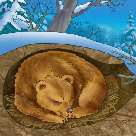 medvjed, zima, spavanje, hladno, priroda Alexander Kukushkin - Dreamstime