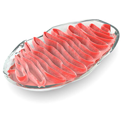 세포, 세포, 붉은 고기, Gelly로, 박테리아 Vampy1