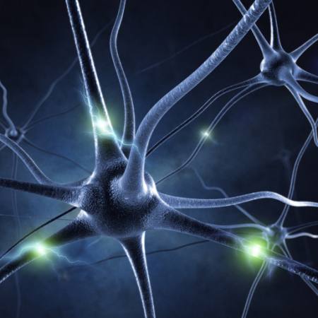 sinapsi, glava, neuronske veze,  Sashkinw - Dreamstime