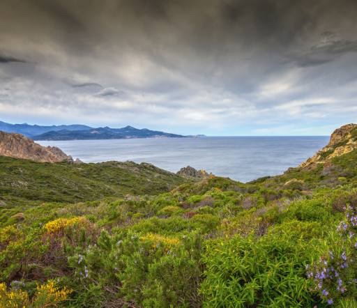 자연, 풍경, 바다, 바다, 녹색, 하늘, 폭풍 Jon Ingall (Joningall)