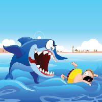 morski pas, plivati, čovječe, napad, plaža, pijesak, more, voda Zuura - Dreamstime
