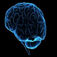 Pixwords 와 이미지 za glavu, muškarac, žena, mislim, mozak Sebastian Kaulitzki - Dreamstime