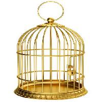 ptica, kavez, zlato, zaključavanje Ayvan - Dreamstime