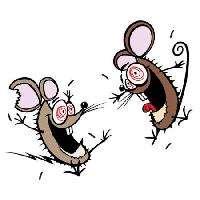 Pixwords 와 이미지 miš, miševi, lud, sretan, dva Donald Purcell - Dreamstime