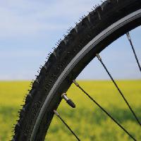 자전거, 바퀴, 녹색, 잔디, 필드, 자연 Leonidtit