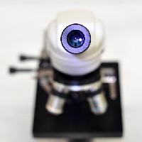 카메라, 렌즈, 현미경 catiamadio