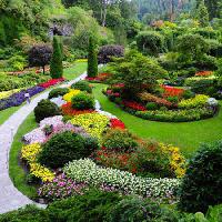 Pixwords 와 이미지 vrt, cvijeće, boje, zelena Photo168 - Dreamstime