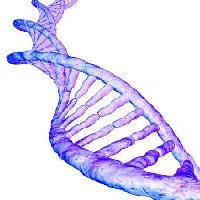 Pixwords 와 이미지 ADN, gen, ljudska krv, mauve Sebastian Kaulitzki - Dreamstime