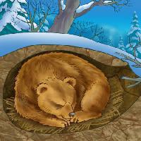 Pixwords 와 이미지 medvjed, zima, spavanje, hladno, priroda Alexander Kukushkin - Dreamstime