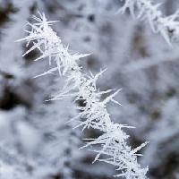 mraz, led, zima, smeč Haraldmuc - Dreamstime
