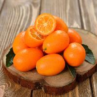 과일, 나무, 접시, 오렌지, 오렌지 Olga Vasileva (Olyina)
