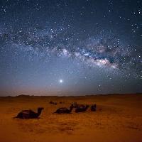 Pixwords 와 이미지 하늘, 밤, , 사막, 낙타, 별, 달 Valentin Armianu (Asterixvs)