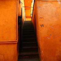stepenice, crvena, tamno, drvored Zeno Ovidiu Mihoc - Dreamstime