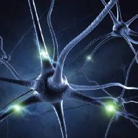Pixwords 와 이미지 sinapsi, glava, neuronske veze, Sashkinw - Dreamstime