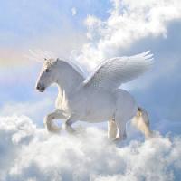 konj, oblaci, letjeti, krila Viktoria Makarova - Dreamstime