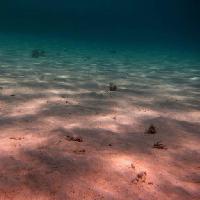 Pixwords 와 이미지 바다, 바다 바닥, 물, 빛, 광선, 모래 Thomas Eder (Thomaseder)