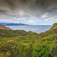 자연, 풍경, 바다, 바다, 녹색, 하늘, 폭풍 Jon Ingall (Joningall)