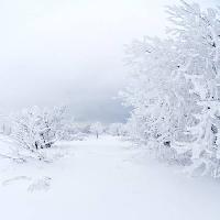 Pixwords 와 이미지 zima, bijela, drvo Kutt Niinepuu - Dreamstime