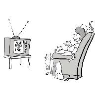 텔레비전, 구, 생활, 여자, 고양이 Andrewgenn