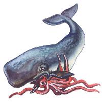 Pixwords 와 이미지 물고기, 동물, 고래, 오징어 Palych