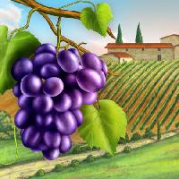 Pixwords 와 이미지 grožđe, dvorište, zelene, list, vino, farma Andreus - Dreamstime
