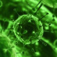 Pixwords 와 이미지 bakterija, virusa, insekata, bolesti, stanice Sebastian Kaulitzki - Dreamstime