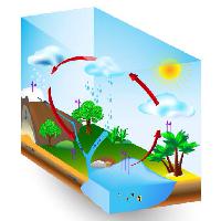 Pixwords 와 이미지 물, 태양, 나무, 호수, 나무, 구름, 비 Designua